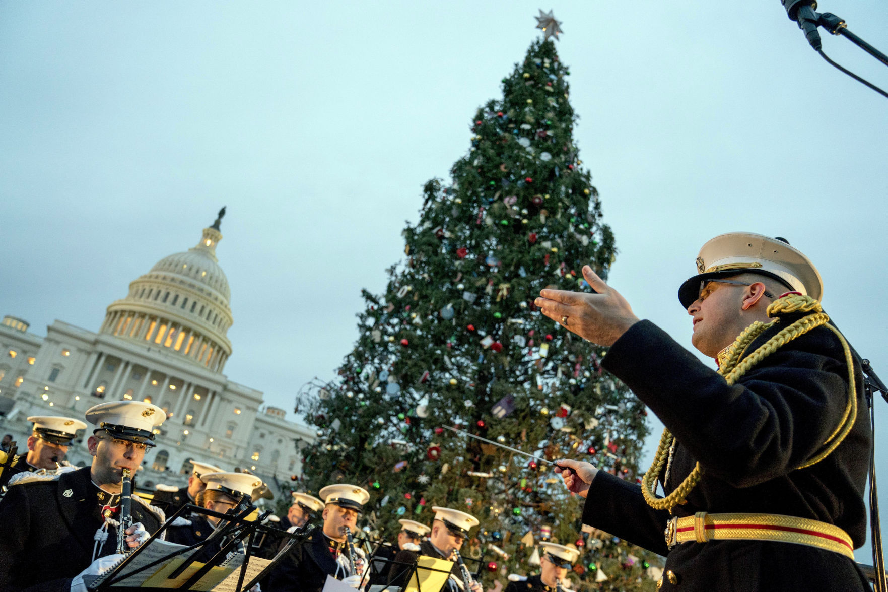 Capitol Christmas Tree Lighting